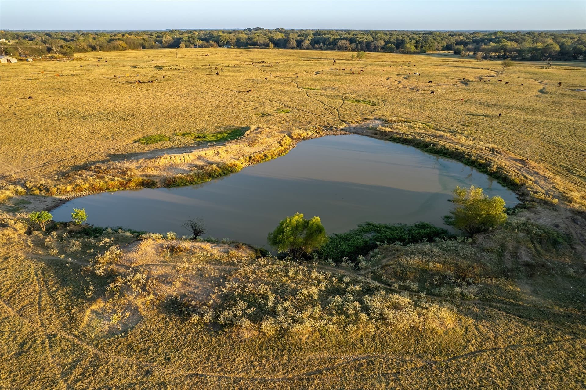 107.7 acres in Wood County - photo 21