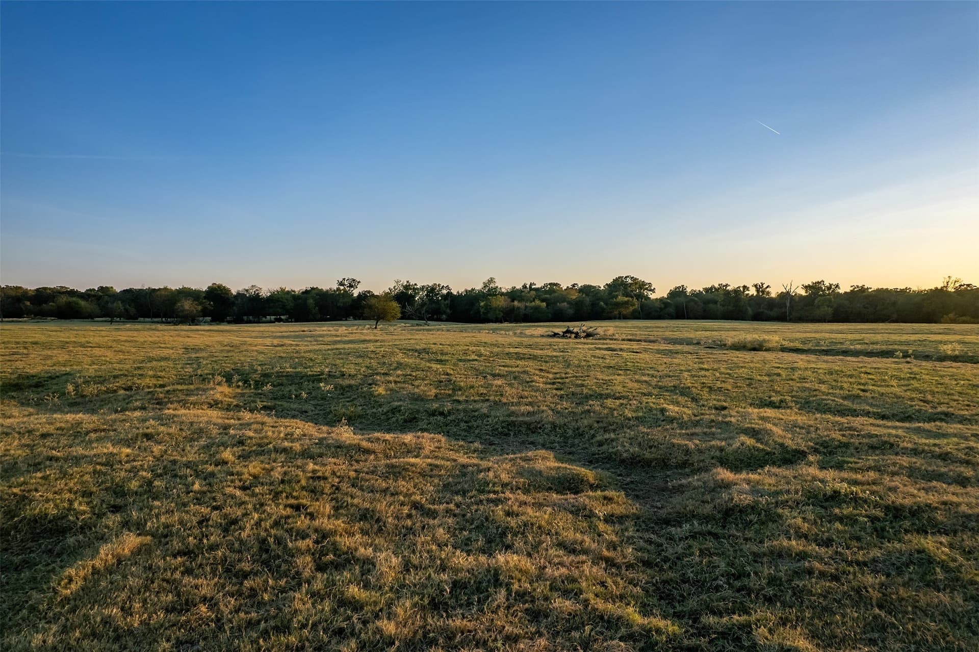 107.7 acres in Wood County - photo 9