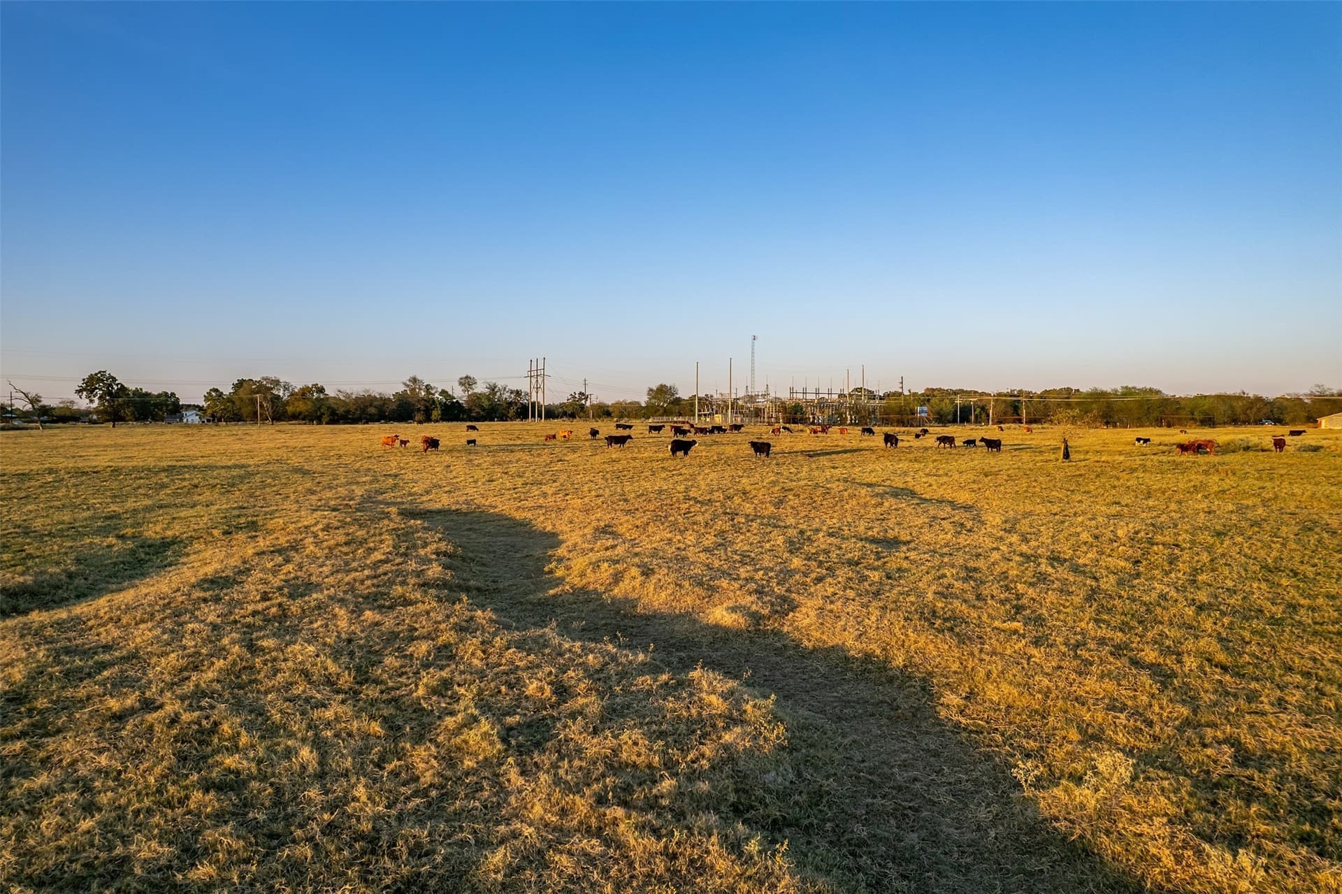 107.7 acres in Wood County - photo 8