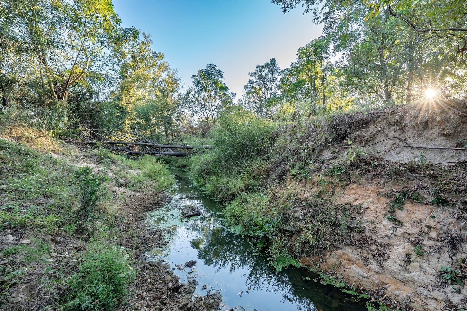 107.7 acres in Wood County - photo 30