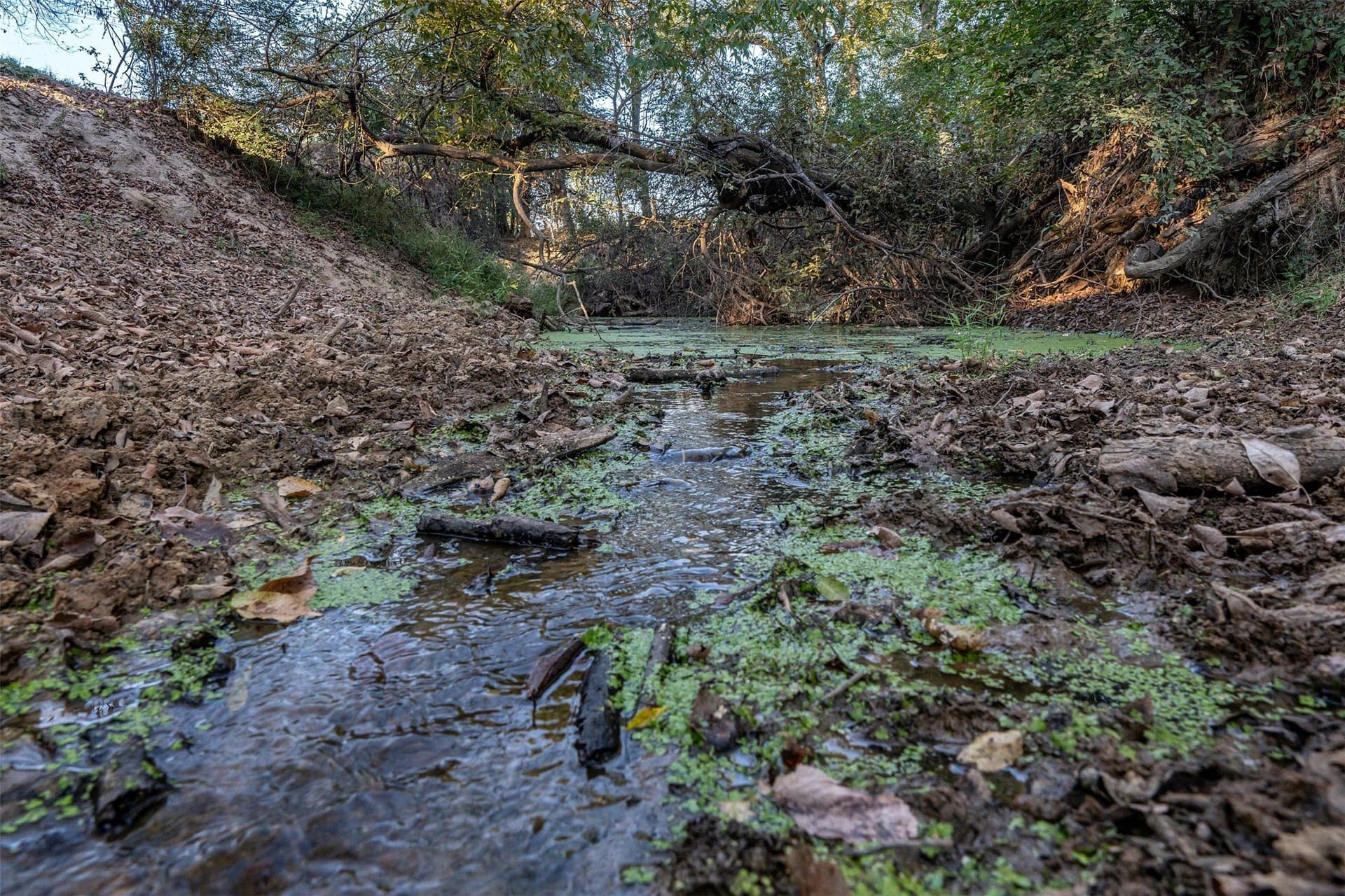 107.7 acres in Wood County - photo 29