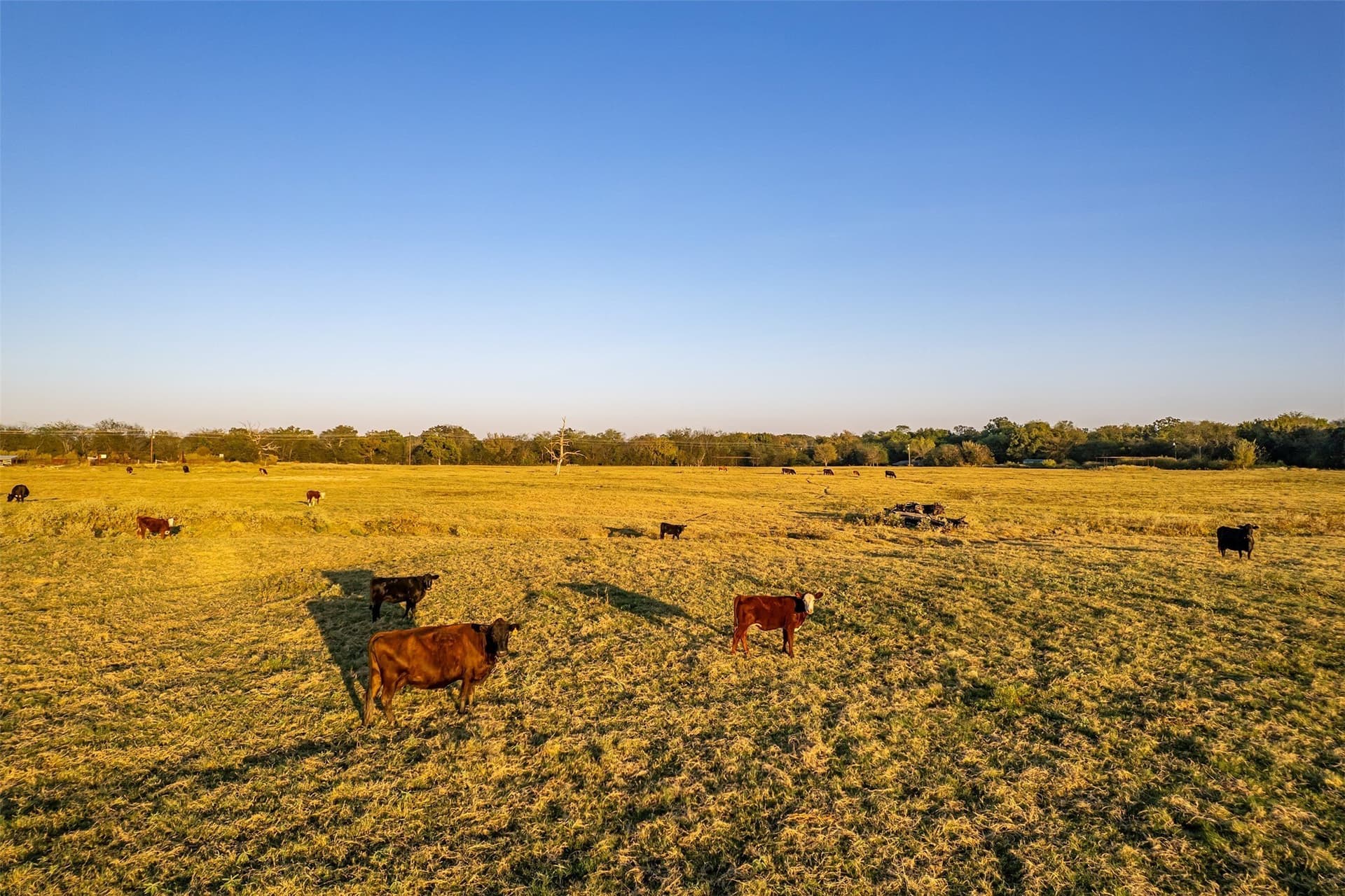 107.7 acres in Wood County - photo 13