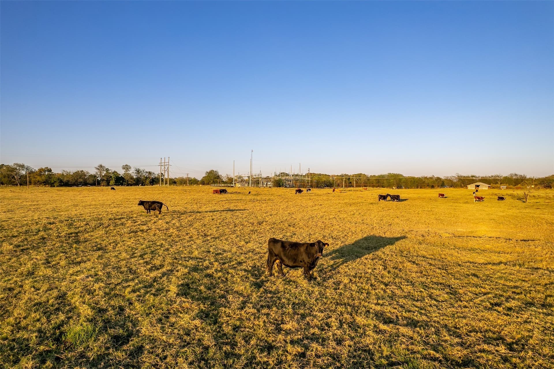 107.7 acres in Wood County - photo 12
