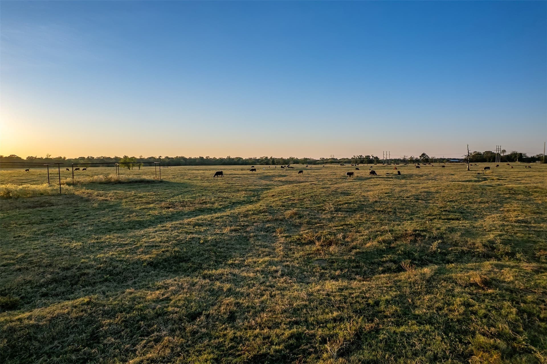 107.7 acres in Wood County - photo 10