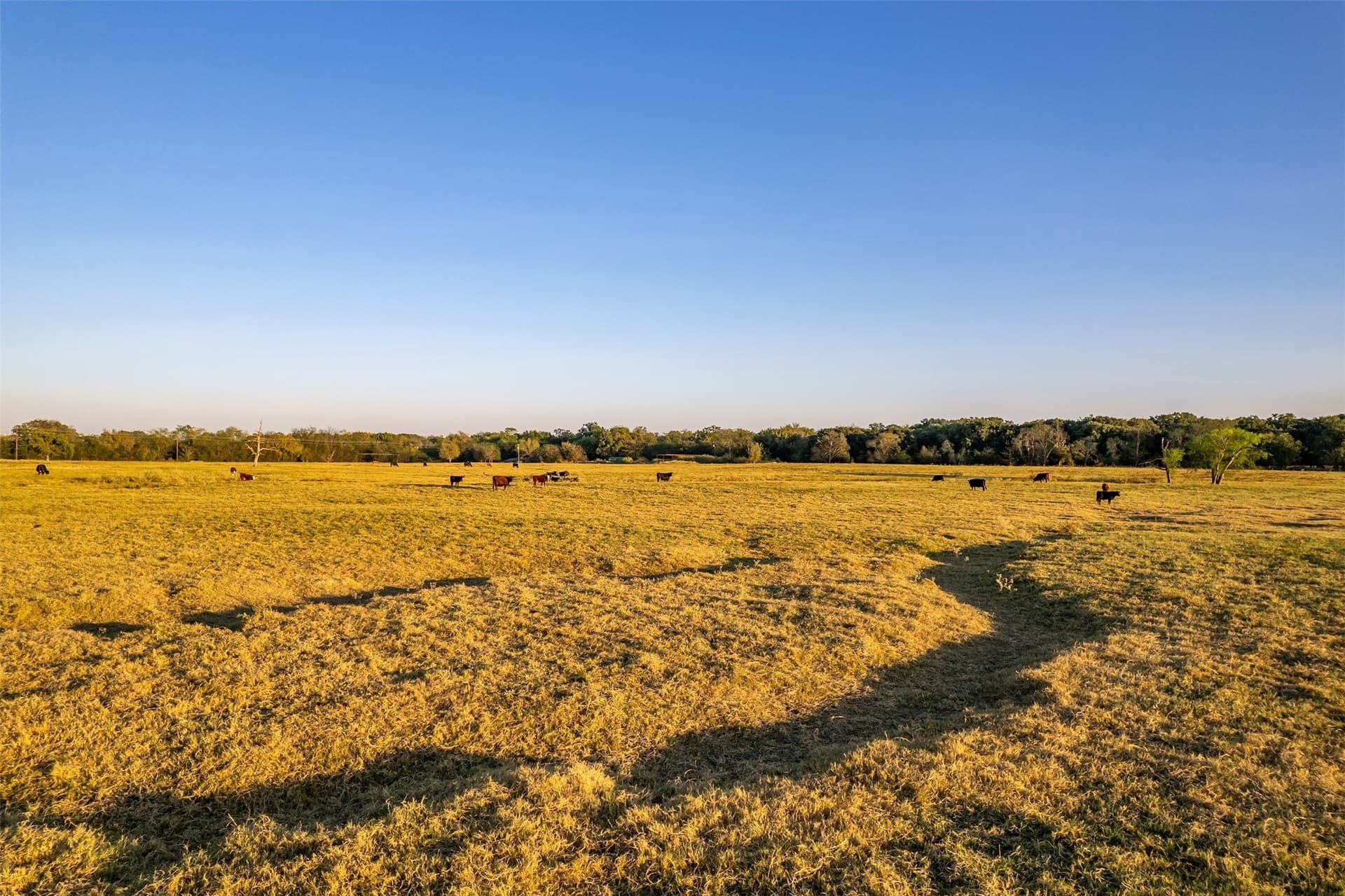 107.7 acres in Wood County - photo 16