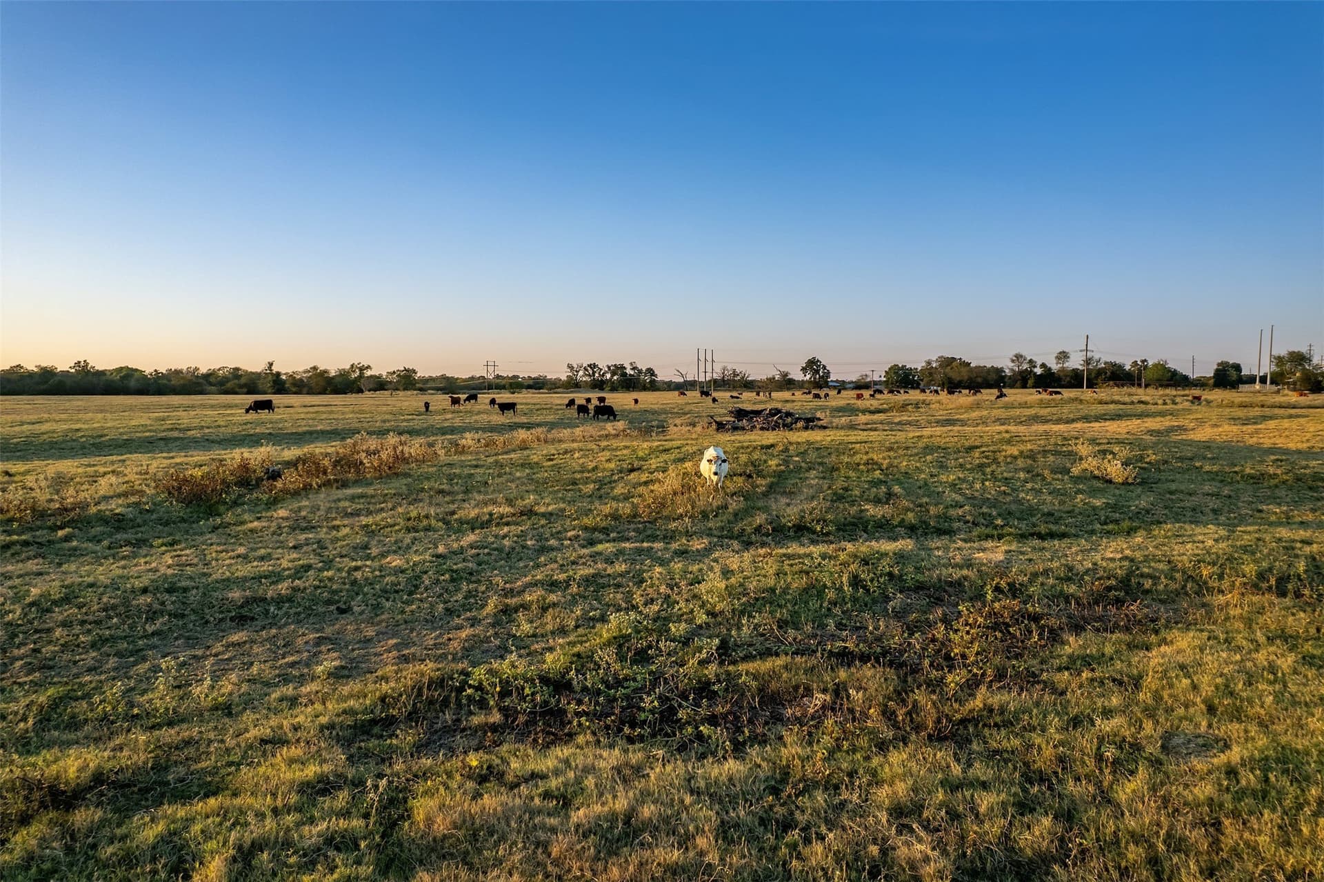 107.7 acres in Wood County - photo 22
