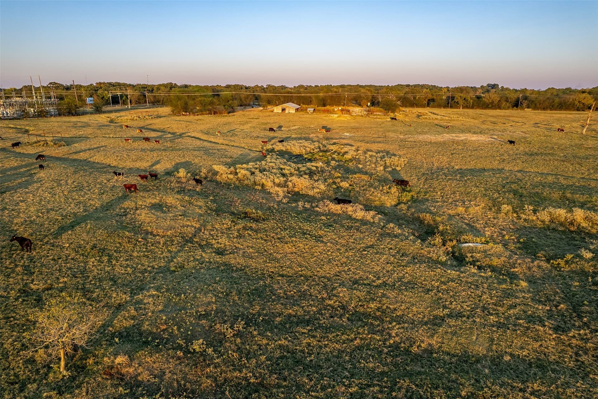 107.7 acres in Wood County - photo 18