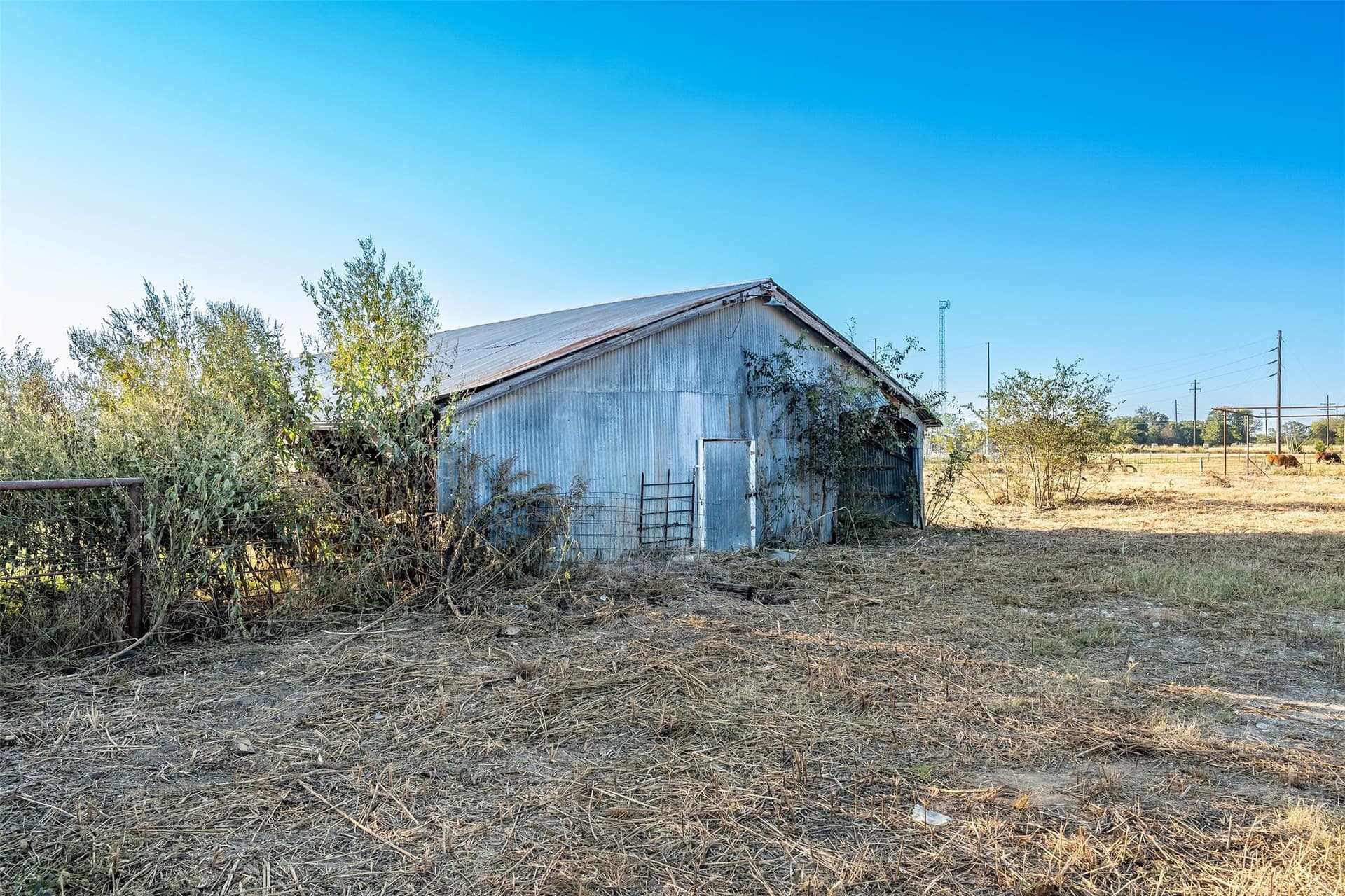 107.7 acres in Wood County - photo 35