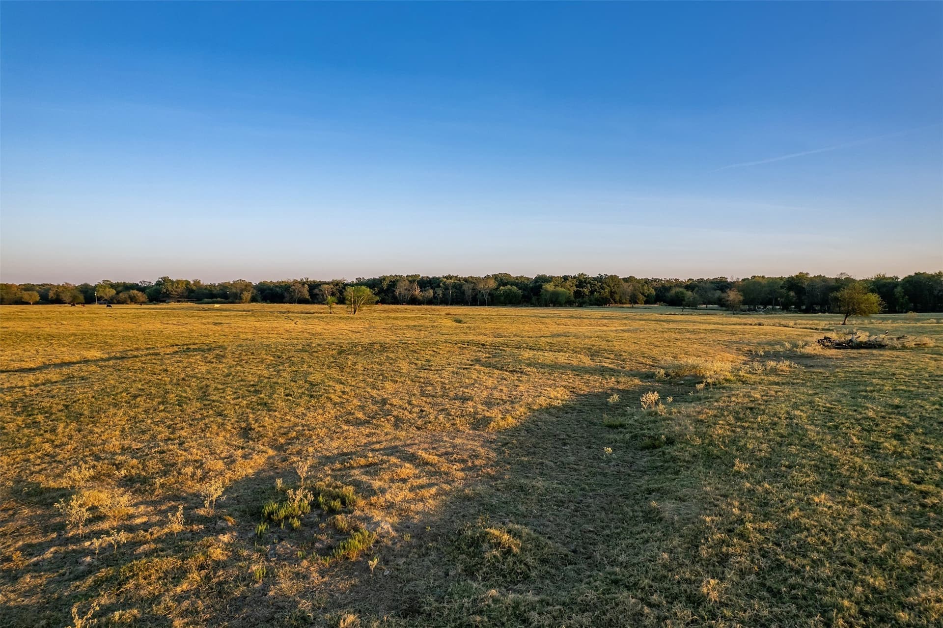 107.7 acres in Wood County - photo 23