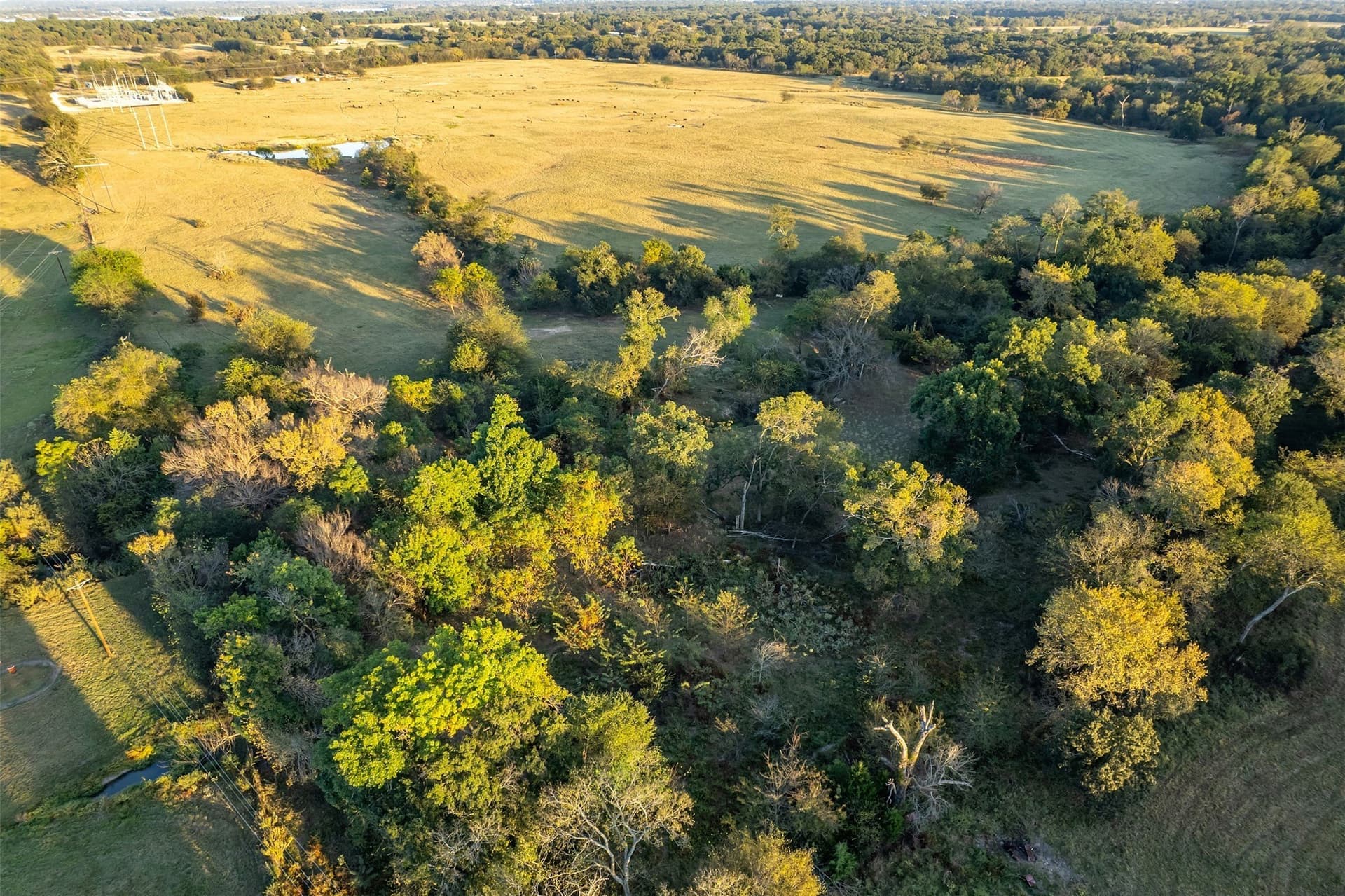 107.7 acres in Wood County - photo 6