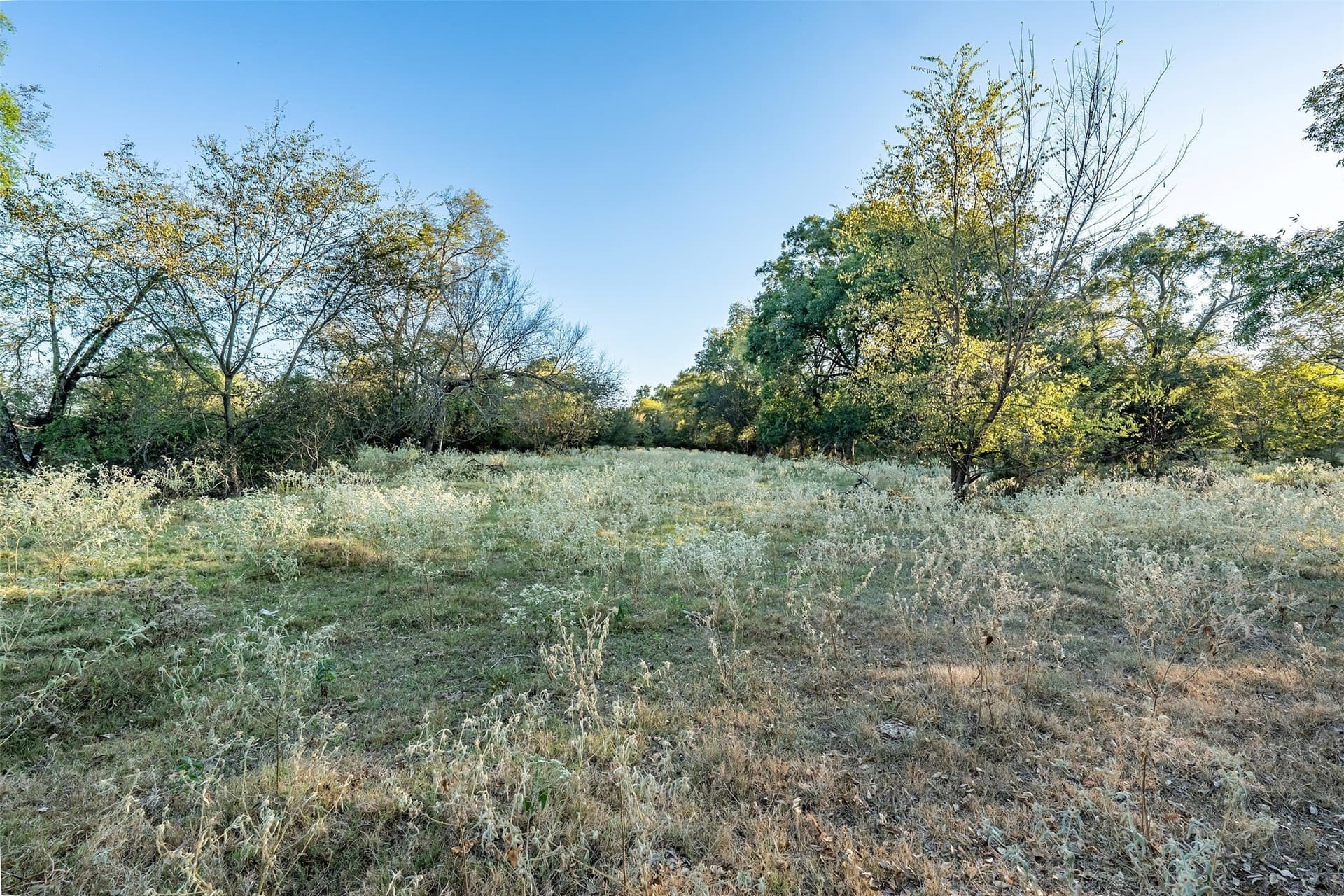 107.7 acres in Wood County - photo 26