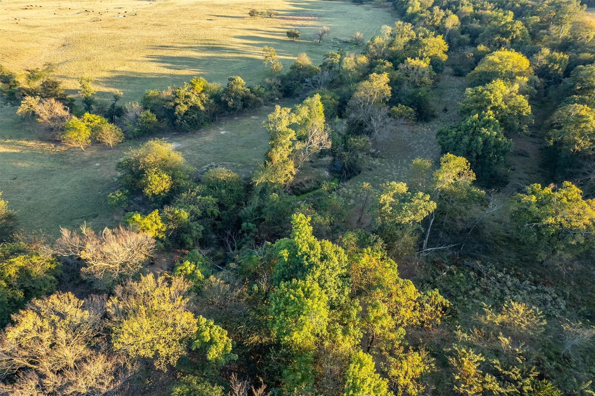 107.7 acres in Wood County - photo 5
