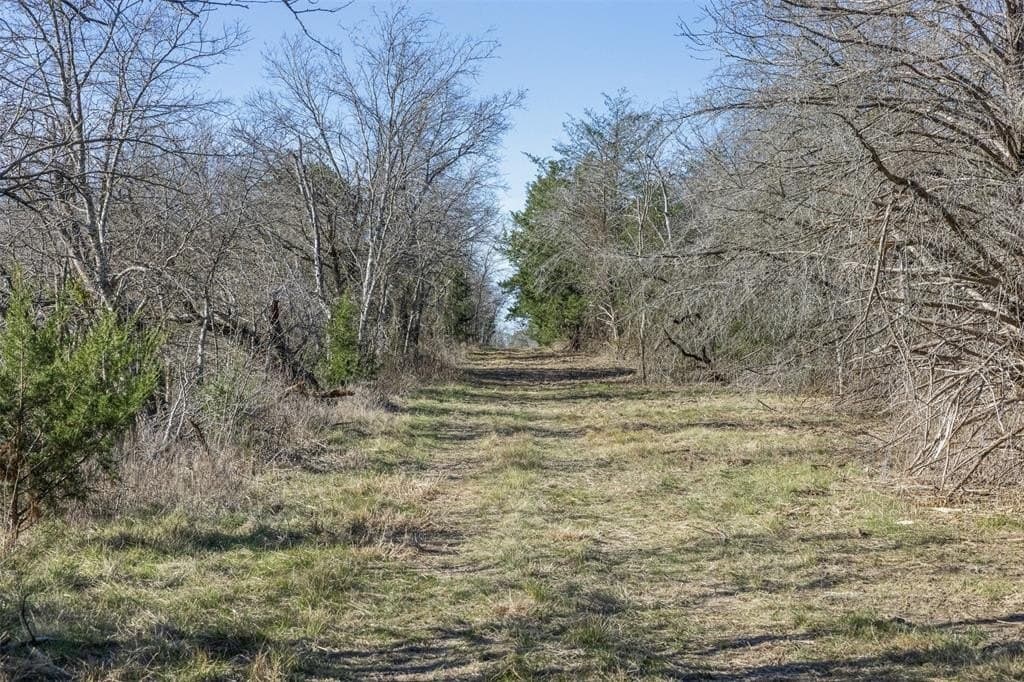10 acres in Limestone County