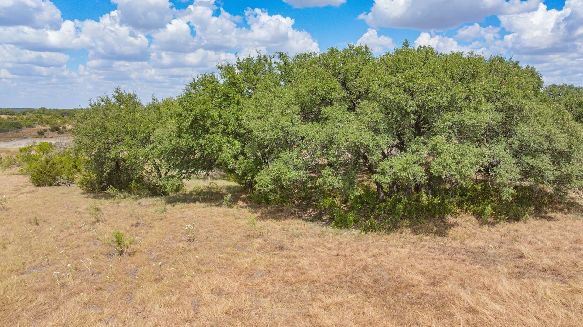10.01 acres in Hamilton County - photo 21