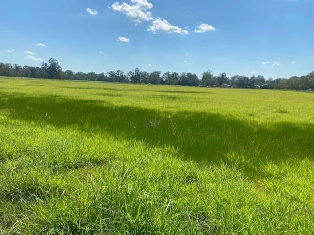 16 acres in Texas County featured view
