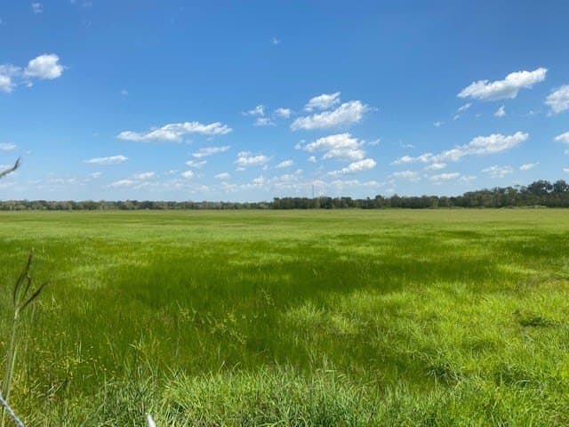 16 acres in Texas County gallery image 2