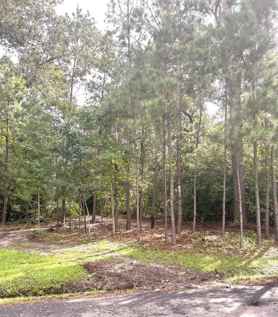 8.14 acres in Texas County gallery image 4