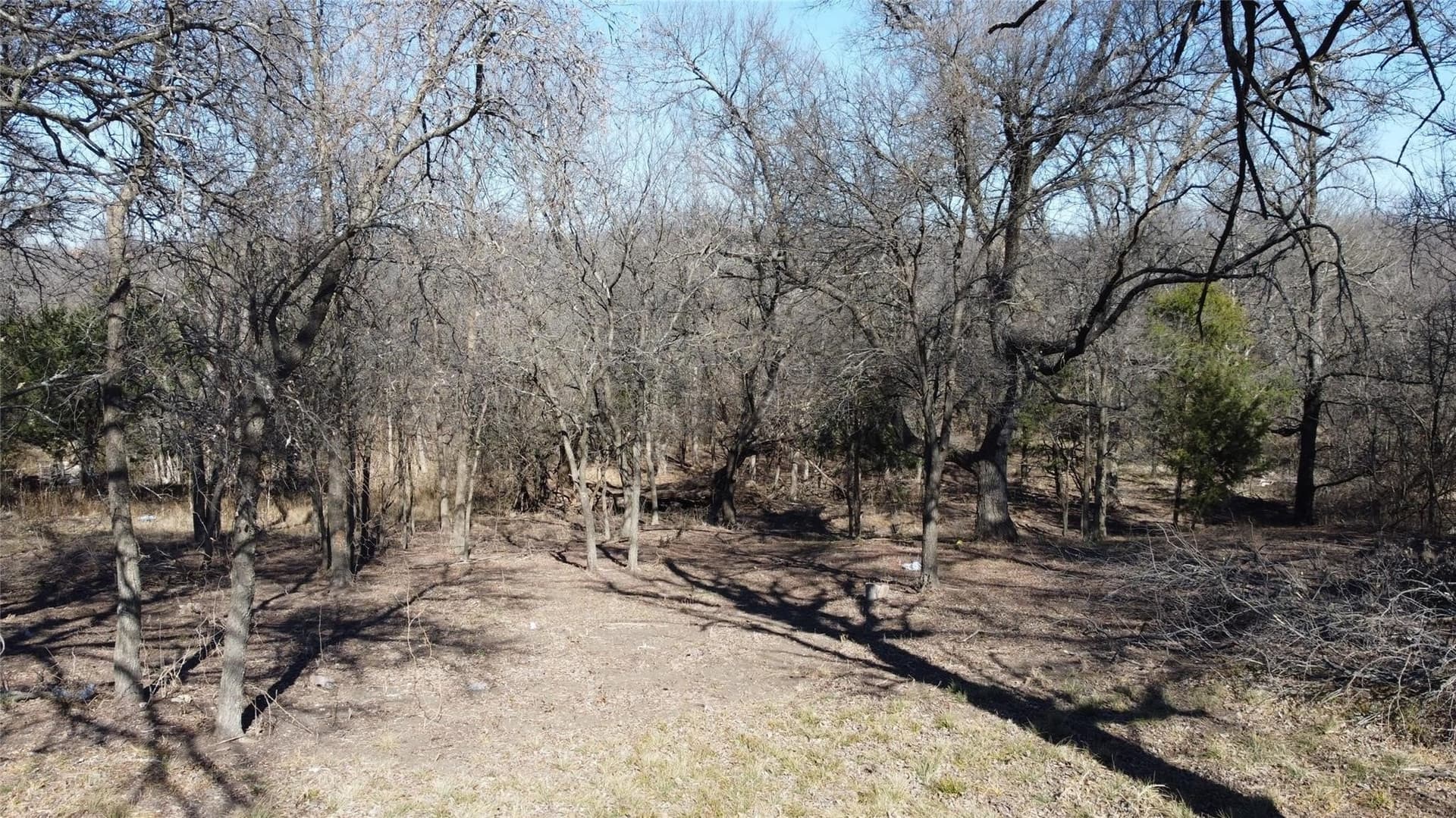 2.03 acres in Dallas County - photo 7
