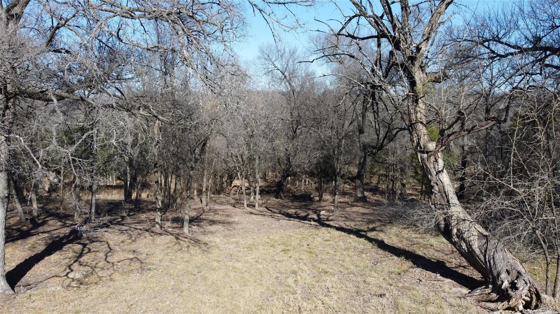 2.03 acres in Dallas County - photo 8