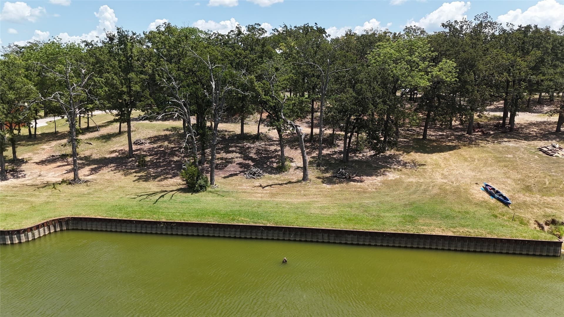 0.99 acres in Freestone County - photo 6