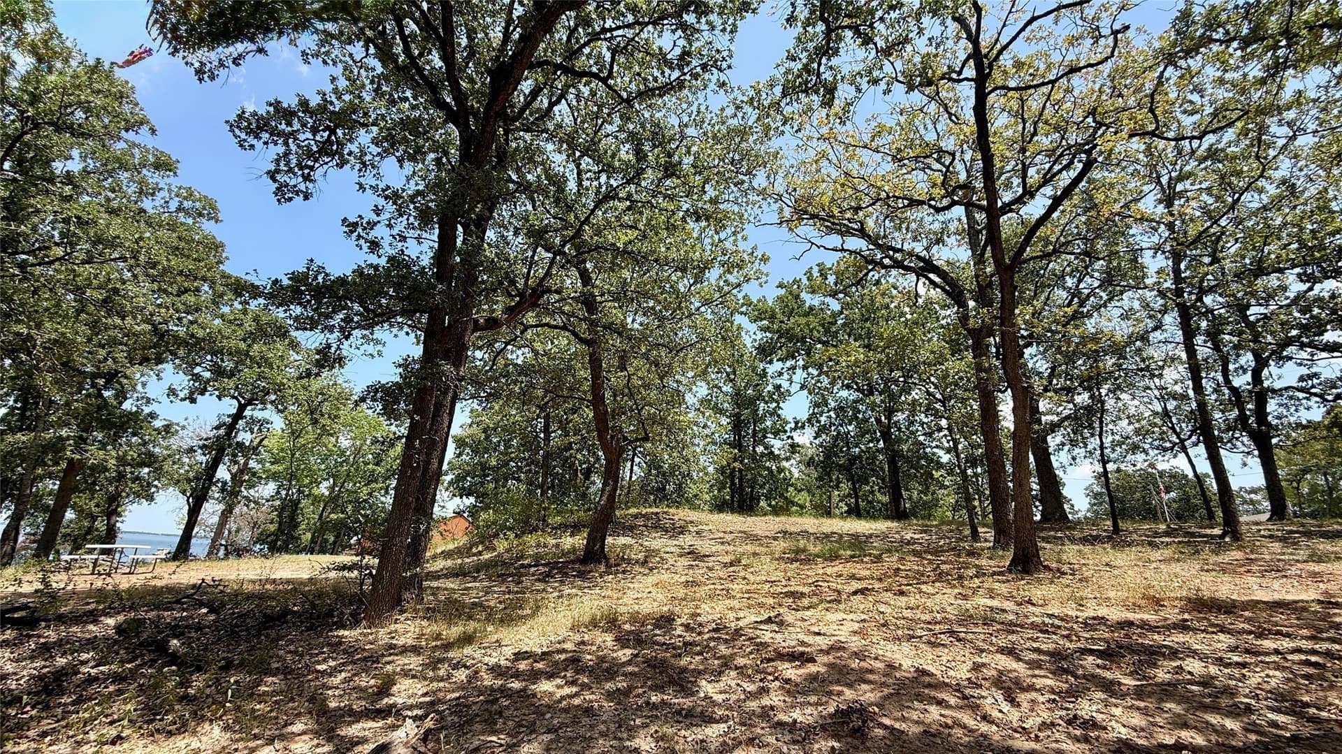 0.99 acres in Freestone County - photo 29