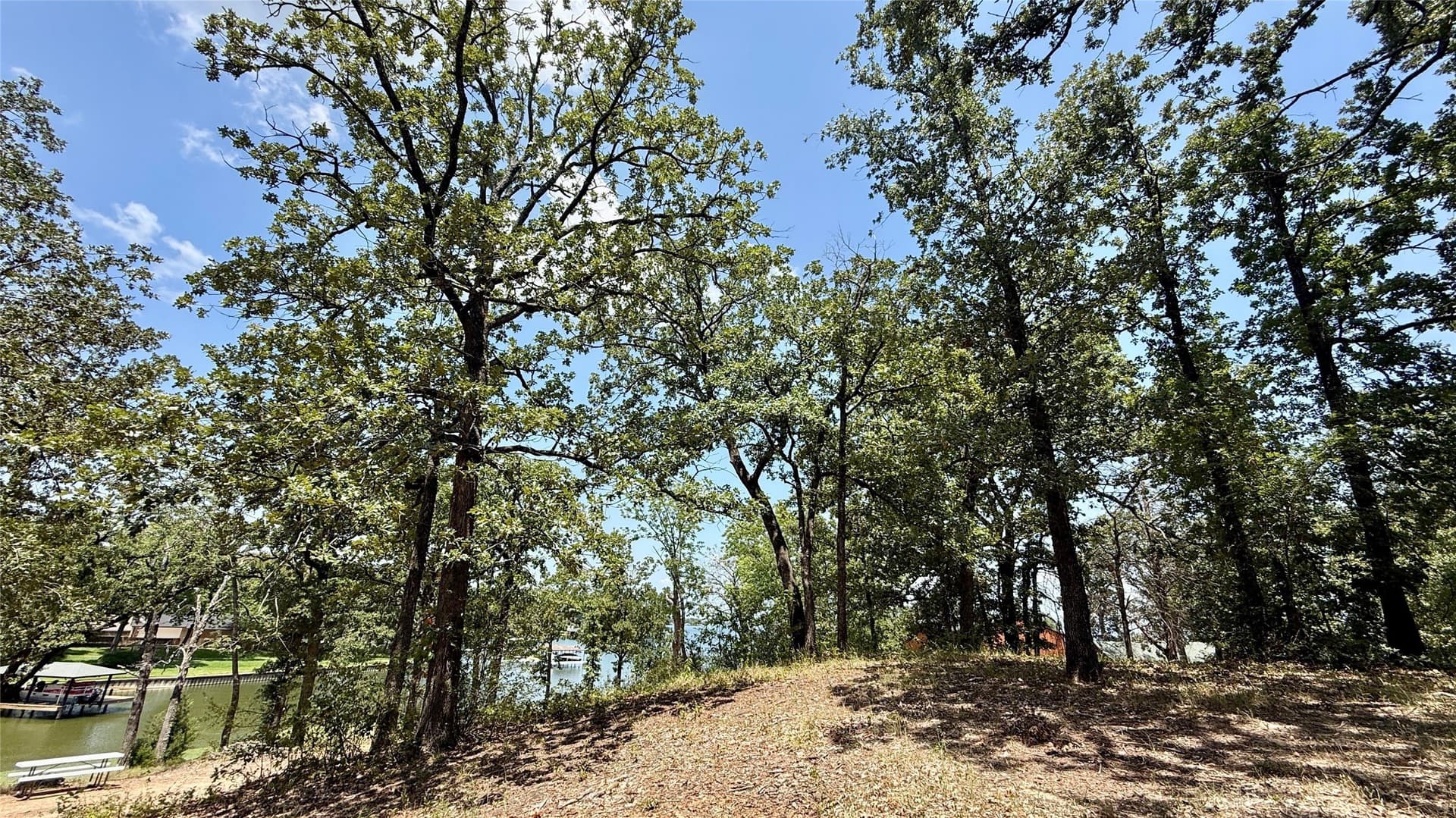 0.99 acres in Freestone County - photo 32