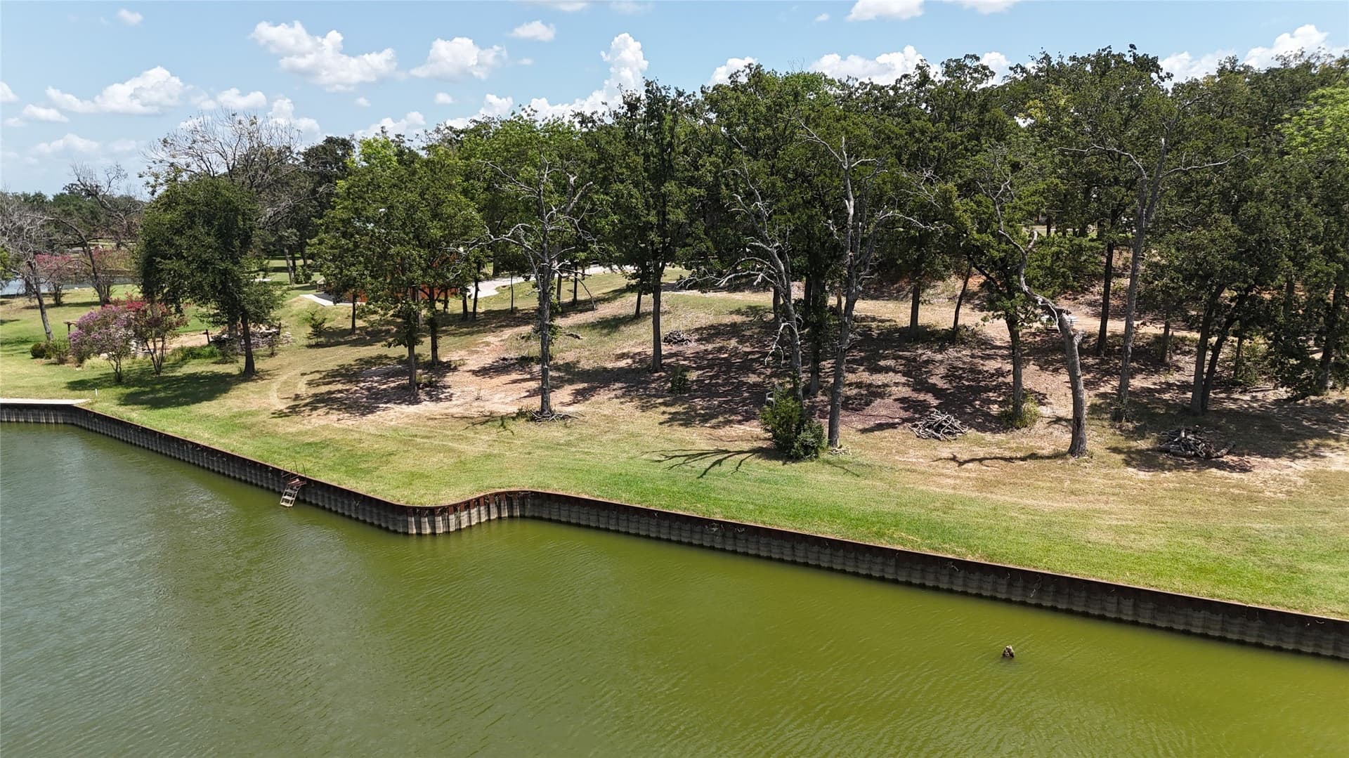 0.99 acres in Freestone County - photo 11