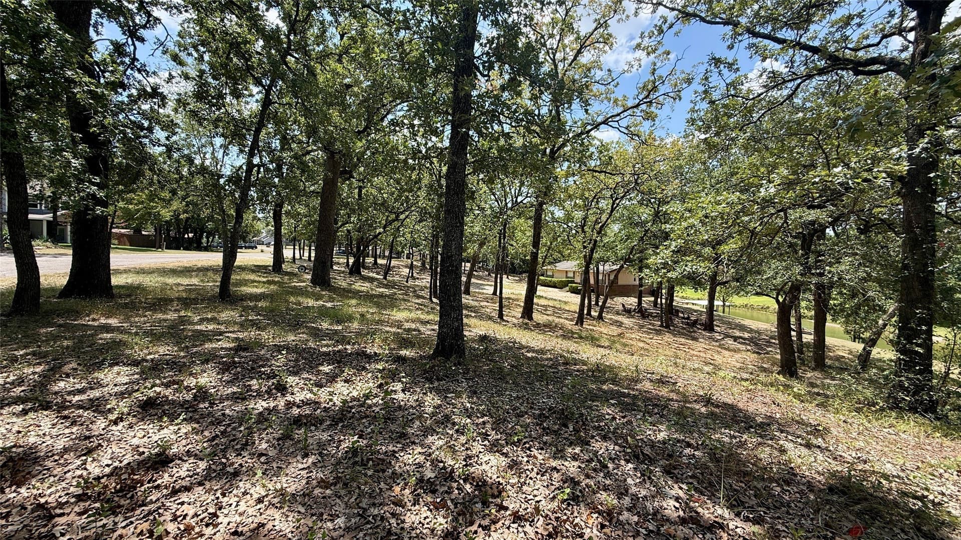 0.99 acres in Freestone County - photo 36