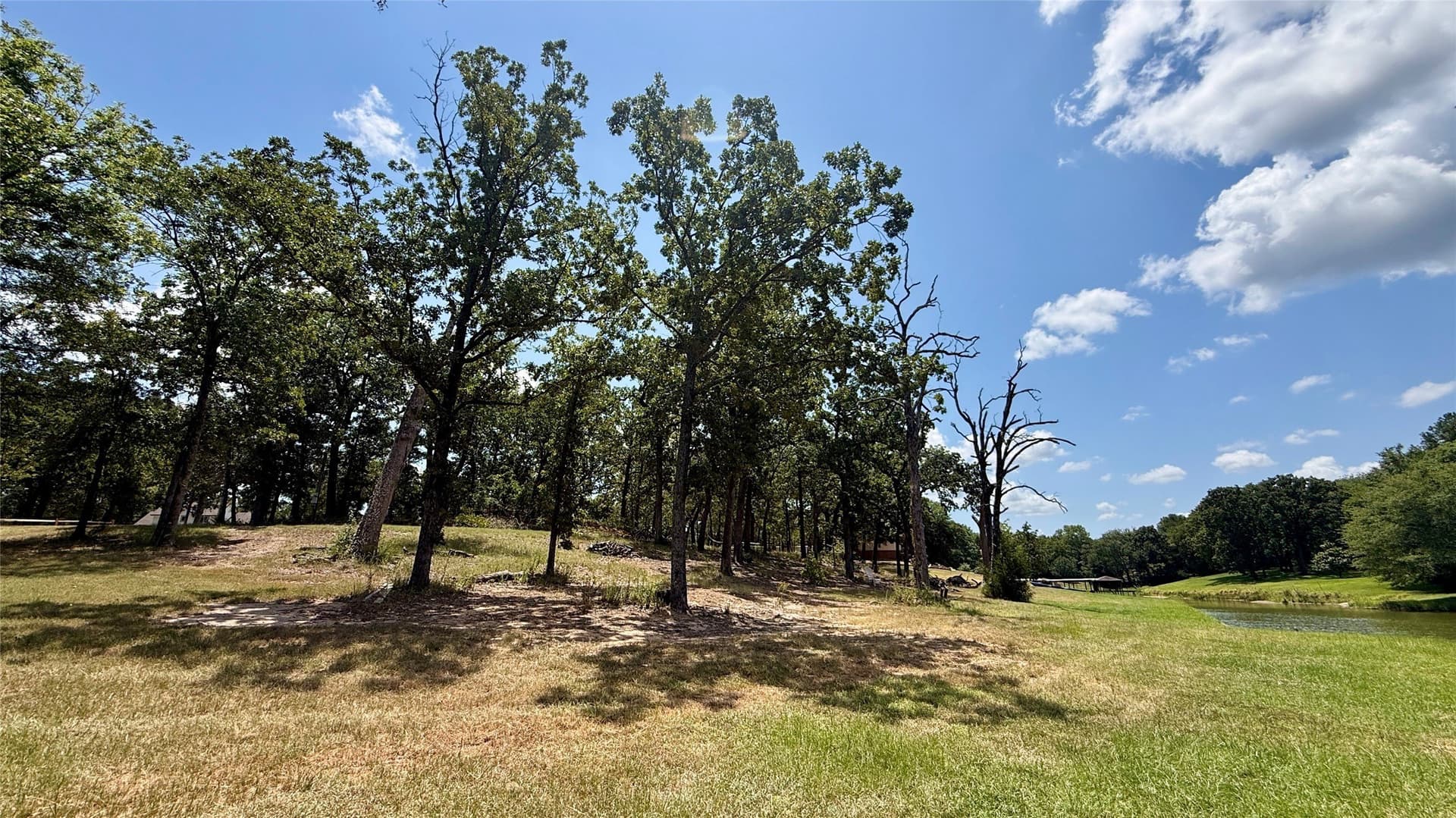 0.99 acres in Freestone County - photo 26