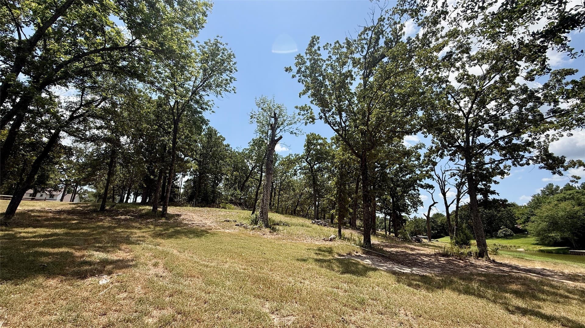 0.99 acres in Freestone County - photo 25