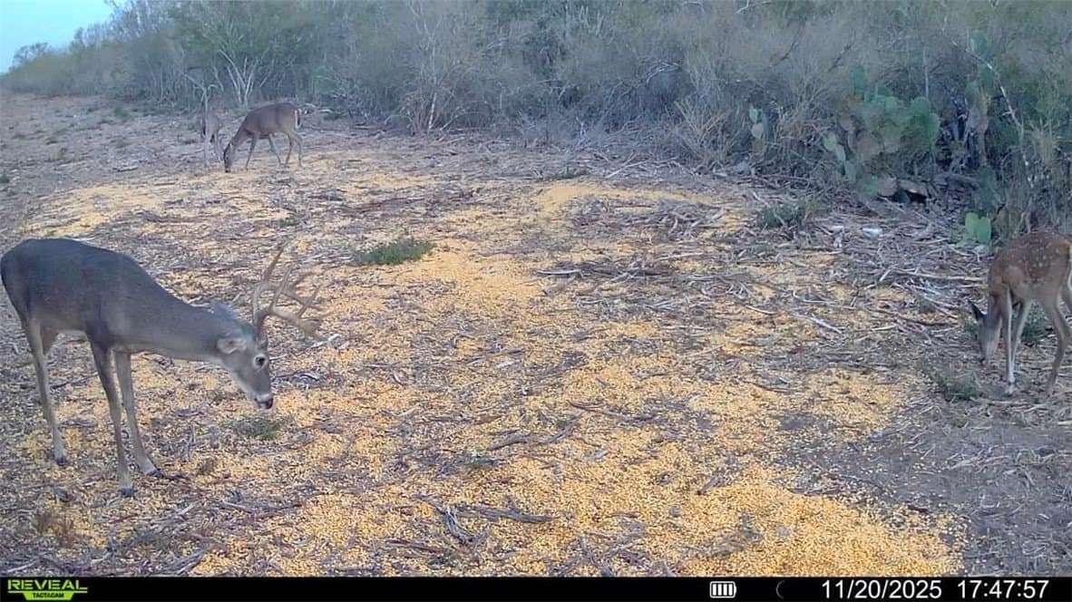 39.94 acres in La Salle County gallery image 3