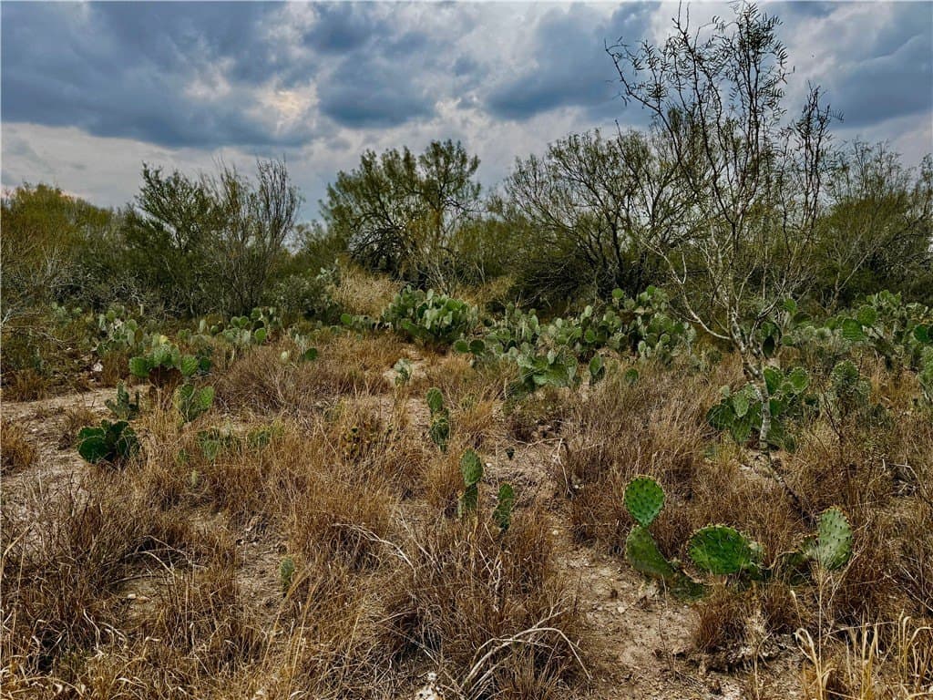 39.94 acres in La Salle County gallery image 4