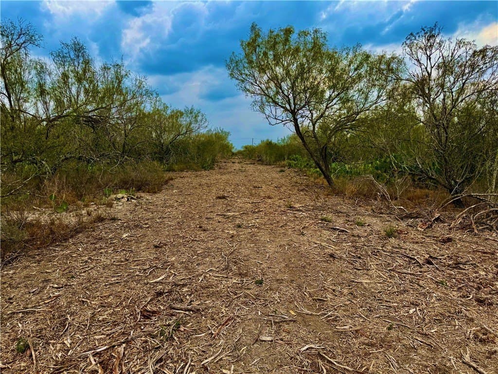 39.94 acres in La Salle County gallery image 2