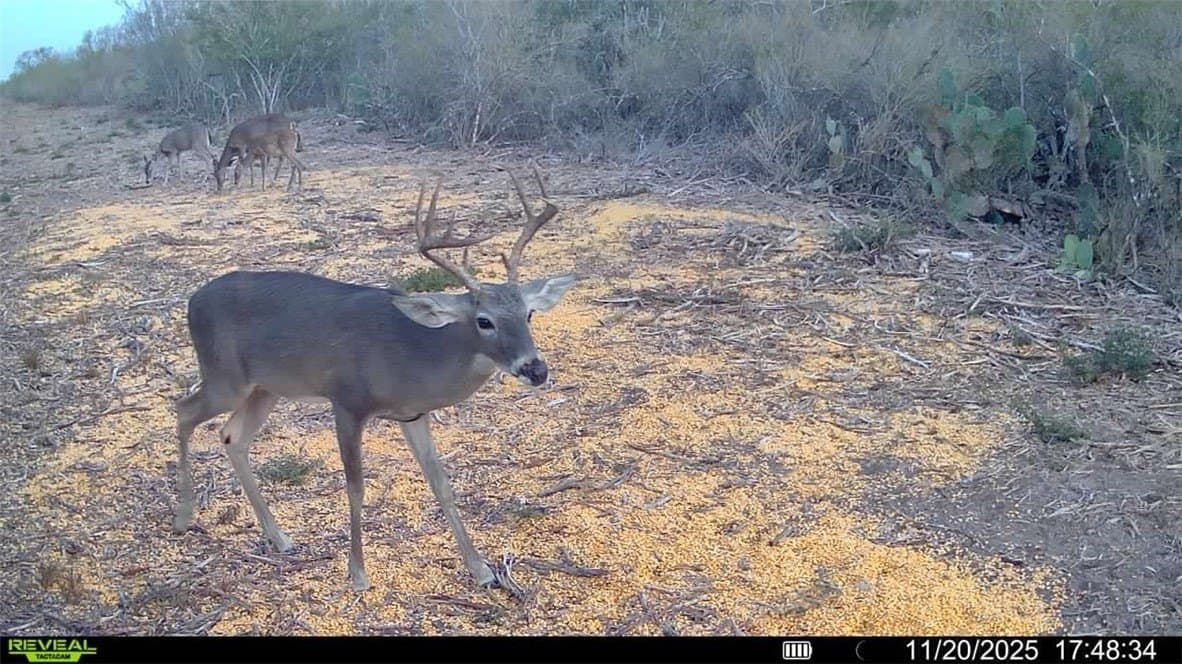 39.94 acres in La Salle County featured view