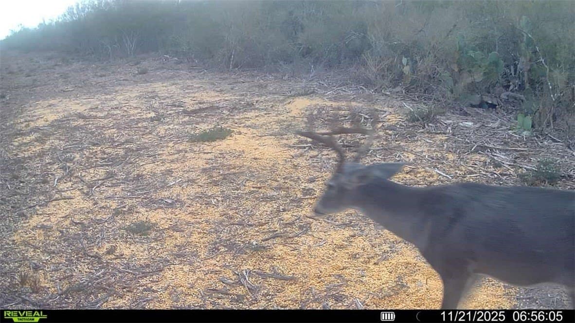 39.94 acres in La Salle County