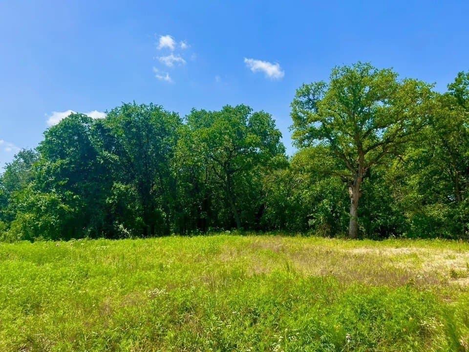 2.6 acres in Parker County - photo 2