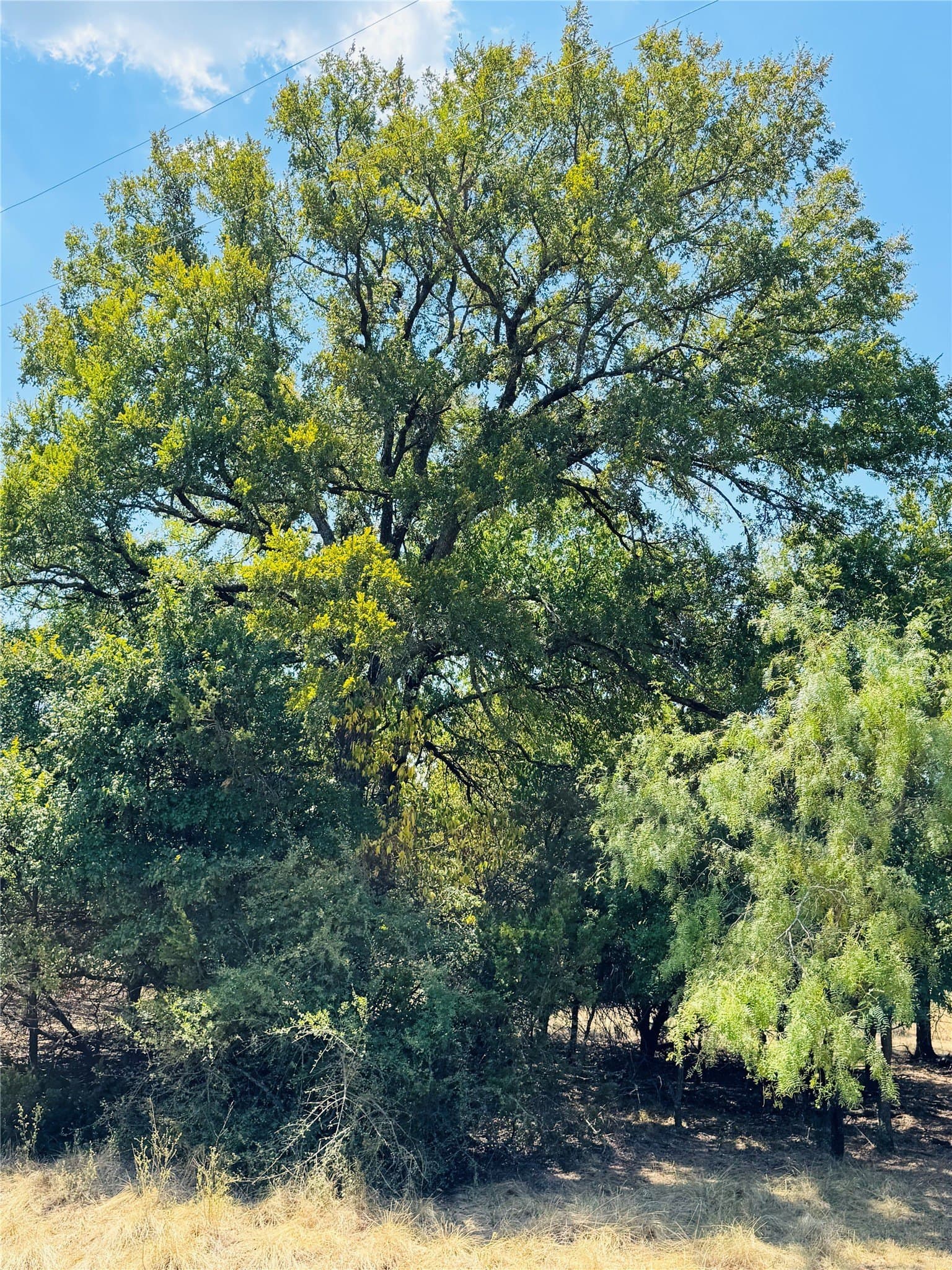 0.23 acres in Hill County