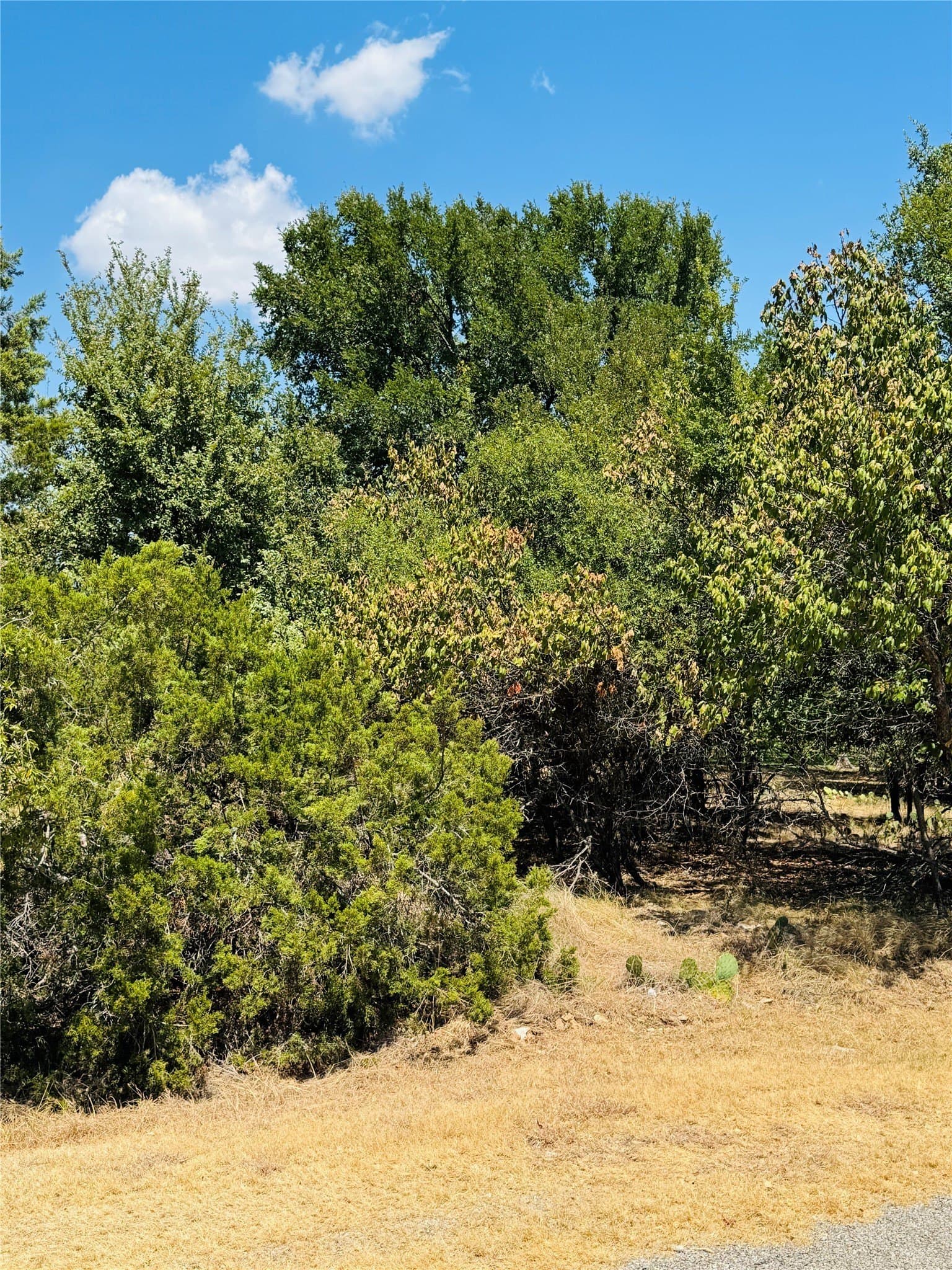 0.23 acres in Hill County - photo 4