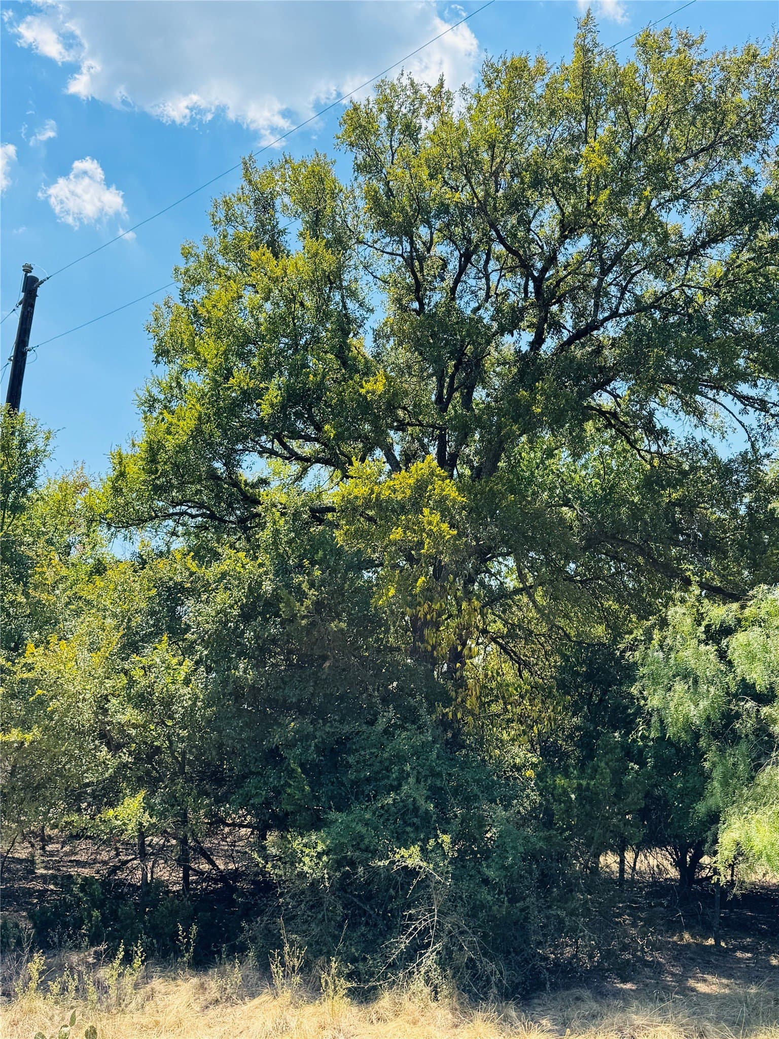 0.23 acres in Hill County - photo 2