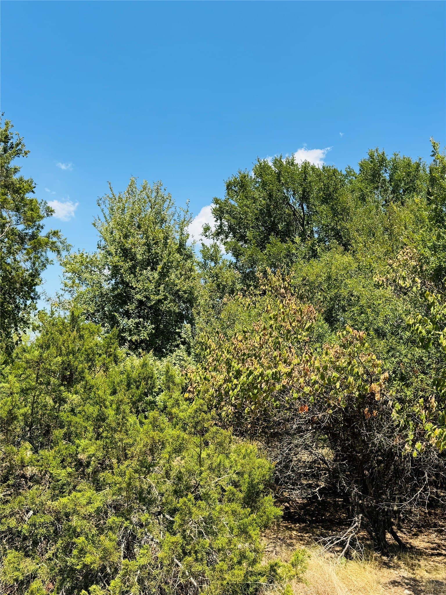 0.23 acres in Hill County - photo 5