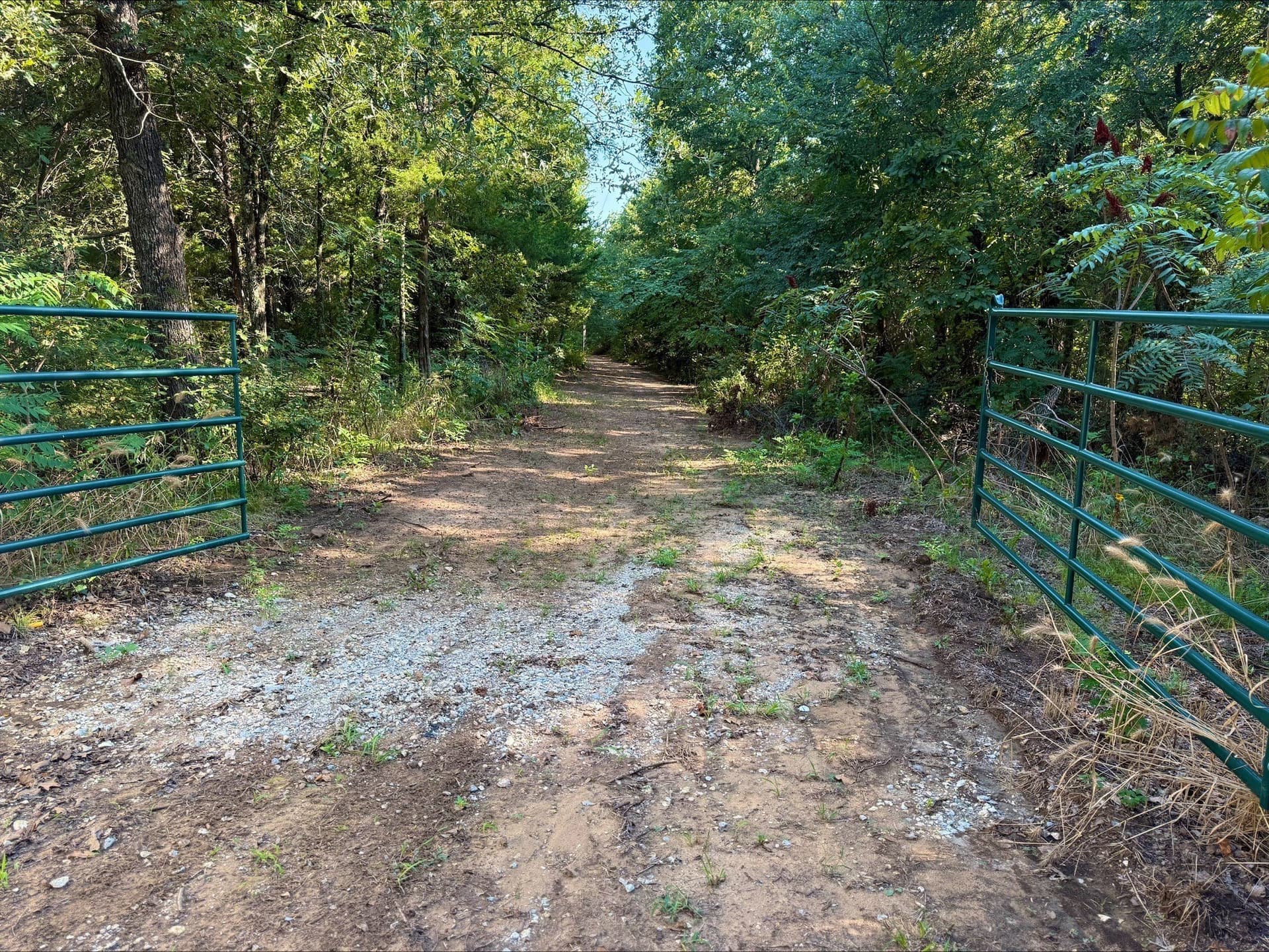 5.3 acres in Grayson County - photo 3