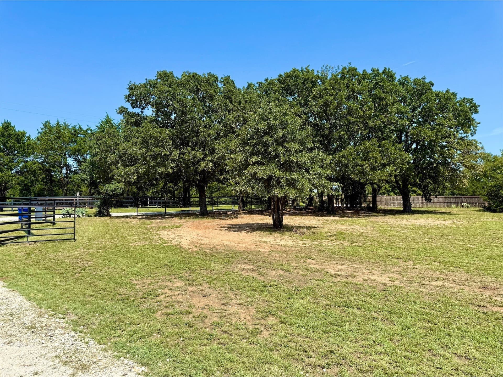 5.3 acres in Grayson County - photo 4