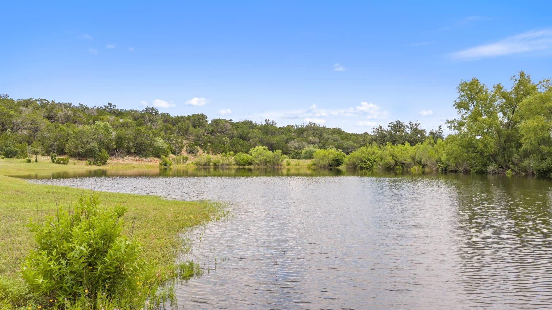 86 acres in Blanco County gallery image 2