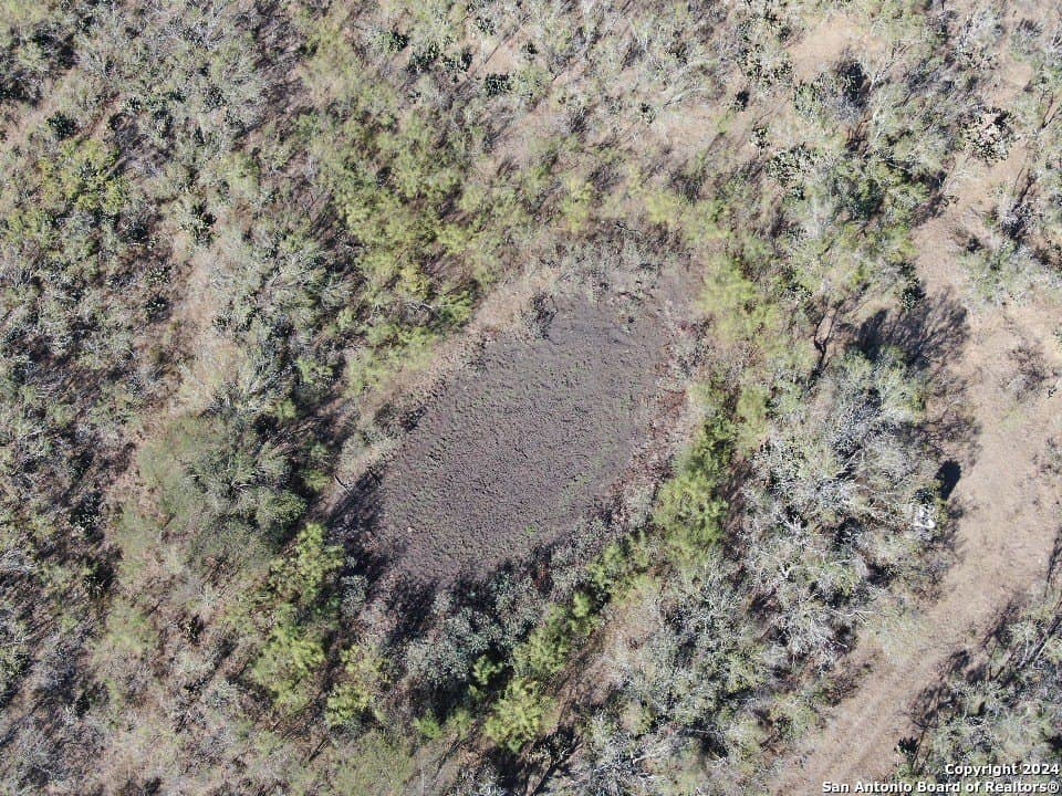 152 acres in Wilson County gallery image 3