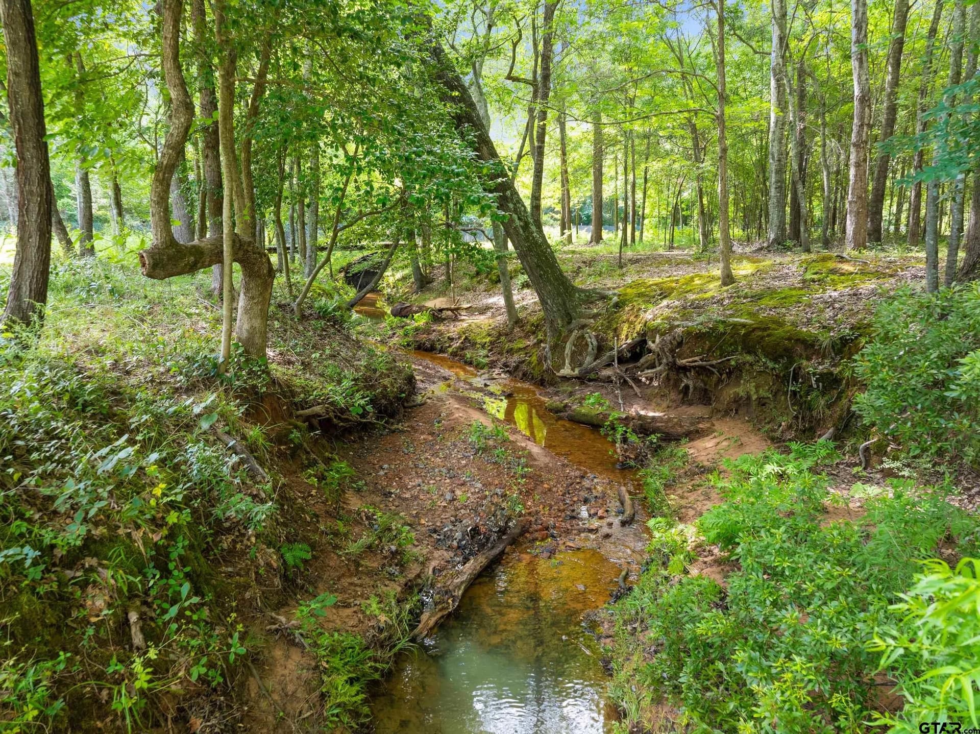 20.8 acres in Smith County - photo 46