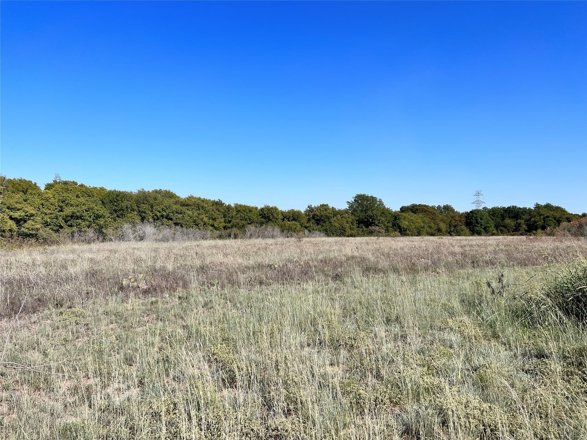 8.95 acres in Hill County gallery image 2