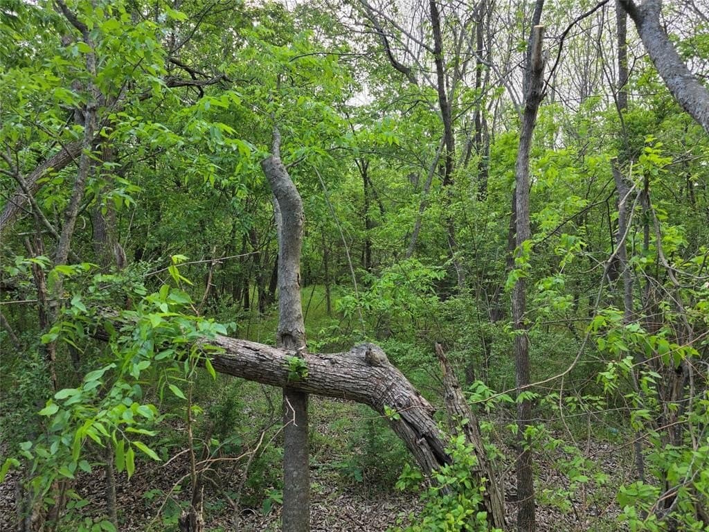 1.84 acres in Hunt County gallery image 2