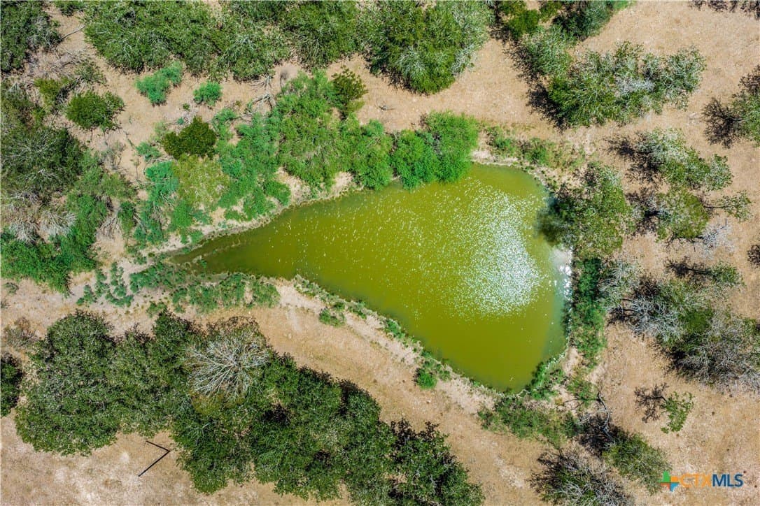 15.41 acres in DeWitt County - photo 40