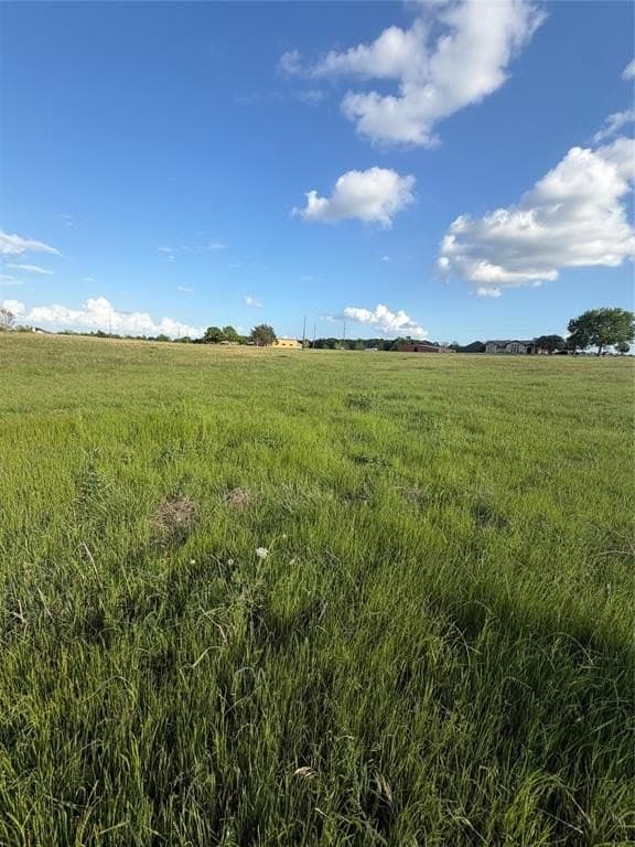 1.57 acres in Fannin County gallery image 3