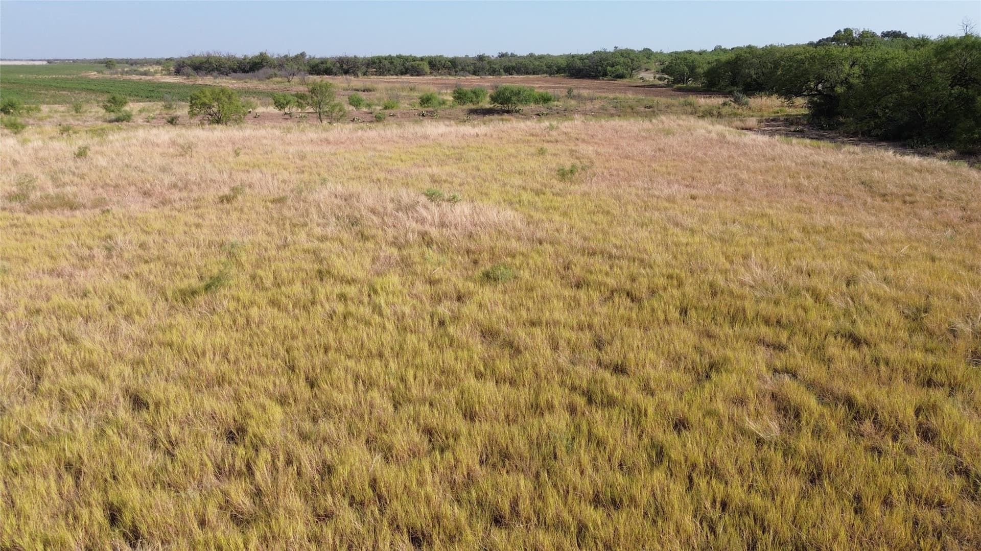 13.48 acres in Runnels County - photo 13